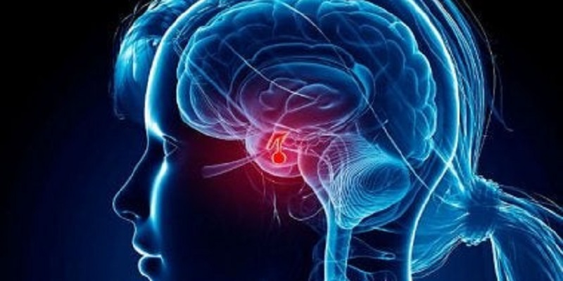 Neuroendocrinología